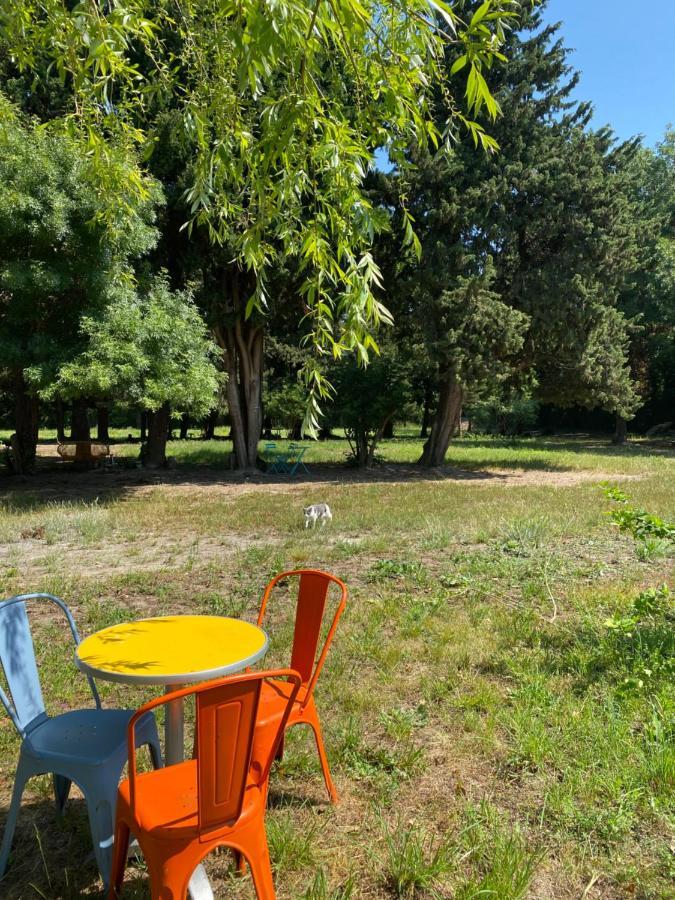 Chambre D'Hotes Les Cypres De L'Ile Avignon Bagian luar foto