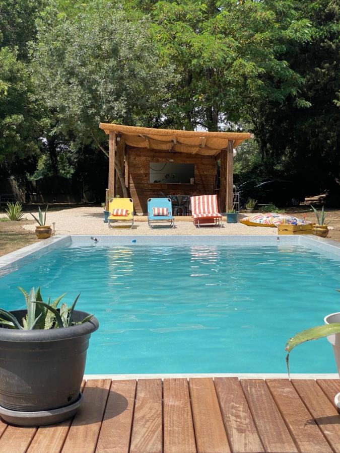 Chambre D'Hotes Les Cypres De L'Ile Avignon Bagian luar foto